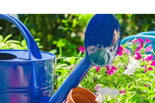 Gardening tools and flowers