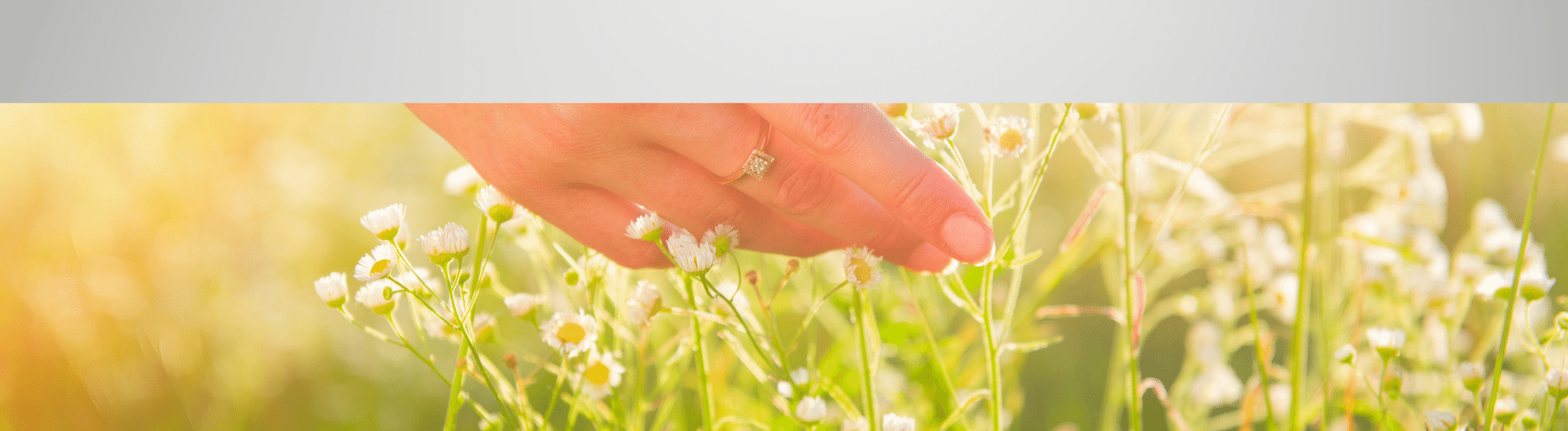 woman's hand touching flowers