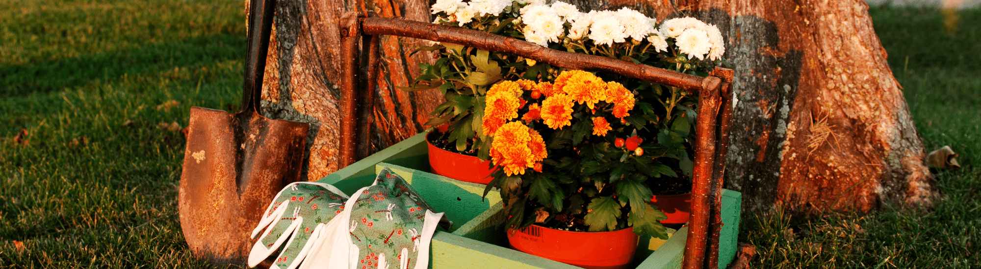 Autumn gardening tools and flowers